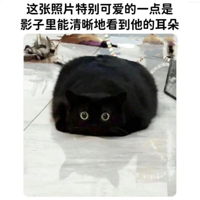 一张可爱的黑猫照片，猫咪全身漆黑，蜷缩成一团，只有两只大眼睛格外醒目地注视着前方。图片上方配有文字："这张照片特别可爱的一点是影子里能清晰地看到他的耳朵"。由于猫咪毛色纯黑，直接看时耳朵几乎与身体融为一体难以分辨，但在白色地面上投下的影子中，耳朵的轮廓却清晰可见，形成了有趣的视觉反差萌。