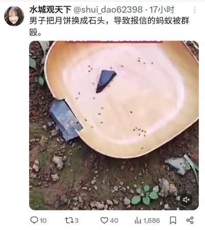 这是一条微博用户发布的趣味内容，博主配文称男子将月饼换成石头，导致回去报信的蚂蚁被同伴群殴。画面展示了一个浅色托盘，上面有一块深色类似月饼的物体，周围聚集着不少蚂蚁，托盘外侧地面还有一块深色石头。内容采用拟人化的脑洞解读，把蚂蚁聚集的行为脑补成“群殴报信者”，制造出搞笑的趣味效果，是对日常自然场景的趣味二次解读。
