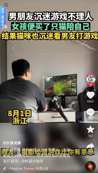 浙江一位女生因男友沉迷游戏不理自己，于是买了一只猫陪伴自己，没想到猫咪也凑到男友的电脑前，专注地看男友玩MOBA类游戏，画面充满反差感。配文调侃“猫都知道游戏比你有意思”，将女生的无奈和场景的搞笑感拉满，是一则记录生活趣味瞬间的内容。