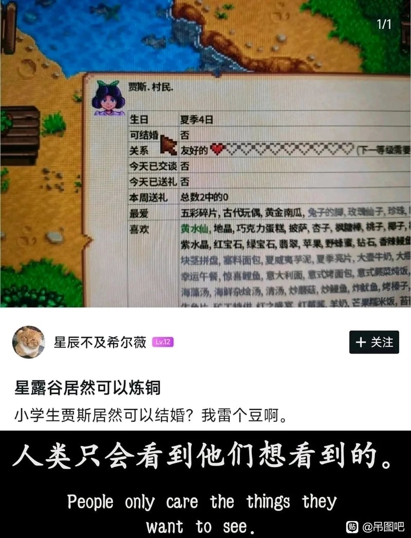 《星露谷物语》村民NPC