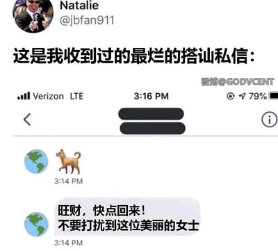 这张图片是整合了海外社交平台配文与手机短信聊天记录的截图。顶部是海外社交平台用户Natalie（账号@jbfan911）的个人头像与配文，配文称这是自己收到过的最烂的搭讪私信。下方是手机短信聊天界面，发送者使用地球头像，先发送了一个小狗emoji，紧接着发送消息：“旺财，快点回来！不要打扰到这位美丽的女士”，通过假装呵斥名为“旺财”的狗的方式，将自己比作狗来搭讪，试图用自黑的方式开启对话，但这种方式显得十分尴尬，因此被博主吐槽为最烂的搭讪。图片右上角带有微博水印，说明该内容被搬运到微博进行传播。