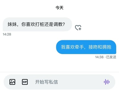 这是一张聊天记录截图，显示了一段对话。一方询问："妹妹，你喜欢打桩还是调教？"，另一方回答："我喜欢牵手，接吻和拥抱"。对话展示了两种截然不同的喜好表达，一方使用了较为直接甚至可能带有暗示性的表述，另一方则表达了更为浪漫和亲密的身体接触偏好。
