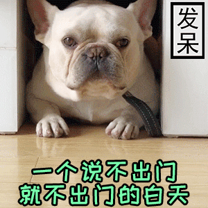法斗