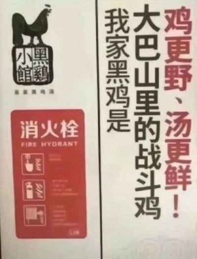 这是一张线下餐饮门店的静态宣传物料，采用图文混排的形式。画面左侧上方是“小黑鸡小馆”的品牌标识，配有一只昂首站立的黑公鸡图案，标识下方还有一行小字“客家黑鸡汤”；左侧下方是红色的消火栓标识，标注有中文“消火栓”和英文“FIRE HYDRANT”，并附带三个消火栓使用步骤的图示。画面右侧是店铺的宣传标语，以醒目的字体写着“鸡更野、汤更鲜！大巴山里的战斗鸡 我家黑鸡是”，用“战斗鸡”这种夸张的说法来强调自家黑鸡的野性与品质，以此突出菜品鸡汤的鲜美，整体风格直白接地气，旨在吸引顾客关注自家的特色鸡汤菜品。