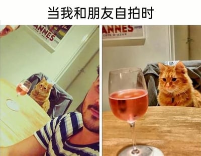 这是一张左右拼接的搞笑对比图，上方配文“当我和朋友自拍时”。左侧为自拍视角，画面中露出穿着蓝白条纹上衣的男子的半张脸和手臂，橘猫被挤在画面角落，桌上的高脚杯仅露出一小部分；右侧为正常拍摄视角，男子不在画面内，橘猫坐在椅子上正对着镜头，表情略显无奈，装有粉色酒液的高脚杯完整出现在画面中央。两张图展现了同一场景下不同视角的巨大反差，调侃了人们自拍时总是将自己置于画面重点，而身边的“朋友”（此处为橘猫）在自拍里只能处于边缘位置的有趣日常。