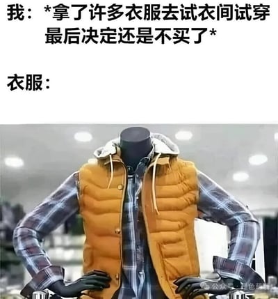 图片上方文字描述“我：*拿了许多衣服去试衣间试穿 最后决定还是不买了*”，下方标注“衣服：”并配有一张人体模型的照片。模型穿着黄色羽绒马甲和格子衬衫，双手叉腰，姿态看起来略带不满，通过拟人化手法幽默表现了“衣服”对试穿后不购买行为的“反应”，整体营造出轻松搞笑的氛围。