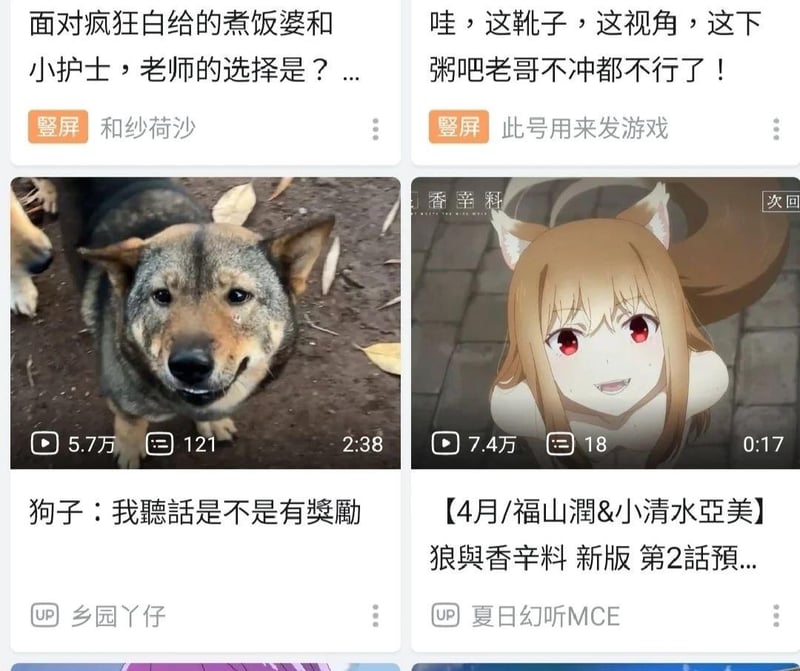 赫萝