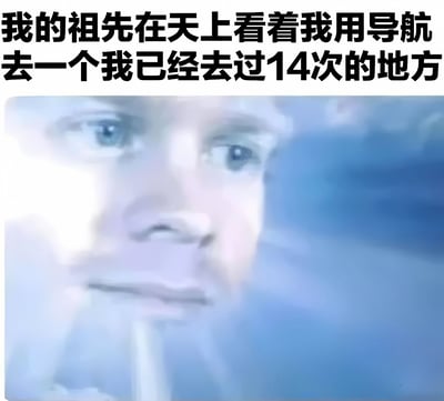 图片上方有黑色粗体文字："我的祖先在天上看着我用导航去一个我已经去过14次的地方"。下方是一张模糊的人物面部特写，人物有蓝色眼睛，表情严肃，背景为蓝白色调。图片通过幽默的方式表达了现代人过度依赖导航，即使是去过多次的地方也需要导航的自嘲。