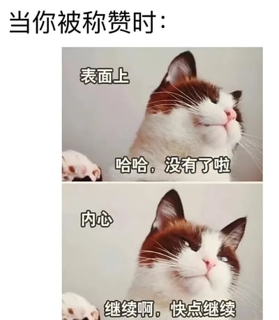 这是一张上下双 panel 的猫咪表情包，展示了人们被称赞时的内心与表面反差。上半部分猫咪表情谦虚，配文'表面上 哈哈，没有了啦'；下半部分猫咪表情期待，配文'内心 继续啊，快点继续'。通过猫咪的两种表情生动展现了人们面对赞美时的真实心理活动。