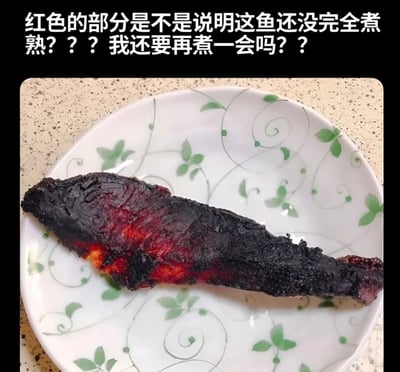 图片中展示了一块放在白色花纹盘子里的鱼，鱼的外表已经明显烧焦呈黑色，但内部仍有红色部分。图片上方配有文字提问：'红色的部分是不是说明这鱼还没完全煮熟？？？我还要再煮一会吗？？'，表达了对鱼肉是否煮熟的困惑。