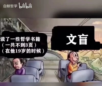 这是一幅卡通风格的静态漫画，采用剧场式构图呈现了车厢内的两名乘客。画面右侧的乘客面带笑容、神情轻松惬意，还手持物品，上方的文字标注他为“文盲”；画面左侧的乘客眉头紧皱、神情苦恼，上方的文字标注“读了一些哲学书籍（一共不到3页）（在他19岁的时候）”。这幅漫画通过强烈的反向对比，用黑色幽默的方式讽刺了那种仅浅尝皮毛哲学就陷入精神内耗的人，反而不如没有接触这类内容的“文盲”活得自在，调侃了部分人接触少量哲学知识后自我困扰的状态。
