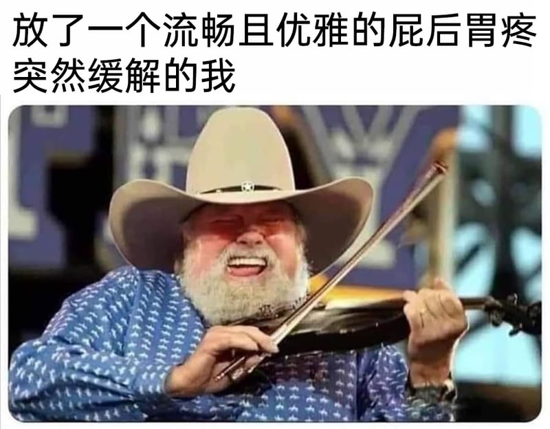 美国乡村音乐演奏家、歌手