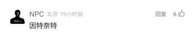 这是一张社交媒体平台的评论区截图，展示了一位网名为“NPC”、所在地标注为北京的用户在19小时前发布的评论内容“因特奈特”，该评论右侧显示有“回复”按钮以及6个点赞数。用户头像是带有“神秘人”字样的黑色剪影头像。“因特奈特”是英文单词“internet”的音译，对应中文的“互联网”，此处仅为音译表述，没有双关、谐音梗等特殊含义。