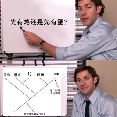 这是一张上下拼接的网络梗图，使用美剧《办公室》的吉姆作为讲解模板。上图中吉姆手持马克笔指向白板，白板上写有经典问题“先有鸡还是先有蛋？”，提出这个千古谜题；下图白板绘制了生物演化分支图，标注出乌龟、蜥蜴、蛇、鳄鱼这些卵生动物早在鸡出现之前就已经存在，在鸡所属的鸟类分支分化出来时，蛋这种繁殖方式早就存在，因此得出蛋比鸡更早出现的结论，吉姆面带微笑看向镜头展示解答结果。
