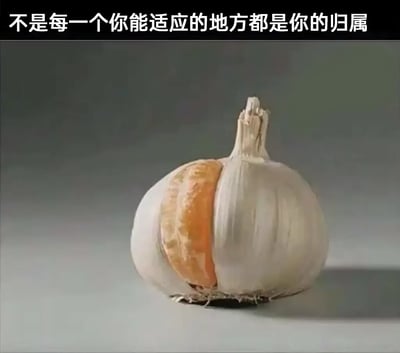 图片顶部有黑色横幅白色文字：“不是每一个你能适应的地方都是你的归属”。下方主体是一个特写的大蒜头，其左侧外皮被剥开，露出内部橙色的橘子瓣，形成大蒜外皮包裹橘子果肉的视觉组合。背景为渐变灰色，突出主体物体。该图通过大蒜与橘子的合成，隐喻即使能在某个环境中生存（如橘子适应大蒜的形态），也未必意味着那是真正的归属地，传达关于自我定位与归属感的哲思。