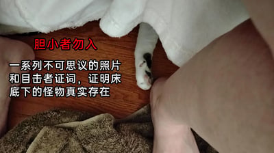 这是一张带有文字加注的实拍静态图，画面呈现了室内床底的场景：木质地板上能看到人的腿脚，床的边缘垂下白色床品，一只带黑斑的白色猫爪从床底伸出来。图中用醒目的红色文字写着“胆小者勿入”，下方白色文字写着“一系列不可思议的照片和目击者证词，证明床底下的怪物真实存在”，用夸张的恐怖文案营造悬疑氛围，但实际所谓的“床底怪物”只是可爱的猫咪爪子，通过这种强烈的反差感制造出搞笑的效果，记录了宠物日常里的趣味瞬间，打破了人们对床底未知事物的恐惧想象，显得十分诙谐有趣。