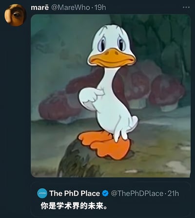 这是一张Twitter社交媒体截图，展示了用户@MareWho发布的内容。图片主体是迪士尼经典卡通角色唐老鸭，它站在一块岩石上，表情严肃，右眼微眯，黄色的嘴巴紧闭，一只翅膀（手）弯曲指向自己，背景是模糊的绿色植物和红色蘑菇。下方是认证账号@ThePhDPlace的回复，内容为“你是学术界的未来。”，形成一种反差幽默——用唐老鸭略带傲娇的经典形象搭配对学术界未来的崇高评价，营造出调侃又有趣的效果。
