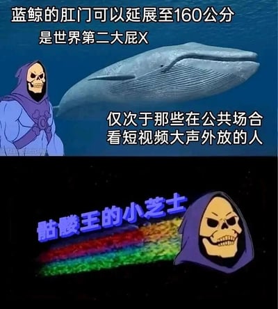 这是一张由上下两部分拼接而成的搞笑吐槽梗图。上半部分以海洋为背景，呈现了蓝鲸的卡通形象和《宇宙的巨人希曼》中的骷髅王卡通形象，配文“蓝鲸的肛门可以延展至160公分 是世界第二大屁X 仅次于那些在公共场合看短视频大声外放的人”，通过将蓝鲸巨大的肛门与公共场合大声外放短视频的人做类比，用夸张、戏谑的方式讽刺这类不文明行为，把这类人的行为调侃为“大屁眼”，带有强烈的吐槽意味。下半部分为黑色背景搭配彩虹色光效，展示了骷髅王的卡通头像，配文“骷髅王的小芝士”，其中“小芝士”是“小知识”的谐音，以搞笑的“冷知识”形式包装这个吐槽内容，让整体梗图的幽默效果更突出。