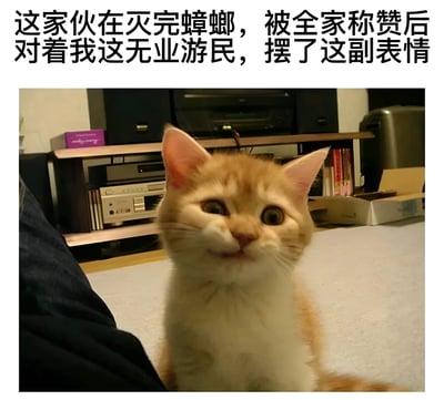 图片上方配有文字：“这家伙在灭完蟑螂，被全家称赞后对着我这无业游民，摆了这副表情”。下方是一只橘白相间的猫咪特写，它睁着圆溜溜的大眼睛，嘴巴微抿，表情看起来略带得意和傲娇，仿佛在炫耀自己的“功绩”。整体通过猫咪的表情和文字结合，形成一种幽默的对比，调侃无业游民与“有功之臣”猫咪的地位反差。