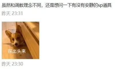 这是一张即时通讯社交平台的聊天记录截图，包含两条连续发送的消息：第一条发送于昨天23:30，内容为一张真实拍摄的柯基犬图片，柯基从家具的缝隙中小心翼翼地探出头，图片下方配有文字“探出头来”，生动表现出拘谨、忐忑的情绪；第二条消息发送于昨天23:31，文字内容为“虽然和调教理念不同，还是想问一下有没有安静的sp道具”，发送者表明自己的理念和常规调教理念有差异，但仍想询问不会发出声响的SP道具，结合前一张配图，将自己提问时不好意思、拘谨的心态具象化，增强了情绪的表达。