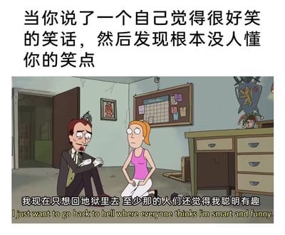 这张梗图由两部分组成：上方是中文配文“当你说了一个自己觉得很好笑的笑话，然后发现根本没人懂你的笑点”。下方是热门动画片《瑞克和莫蒂》中角色的画面对白，内容为“我现在只想回地狱里去，至少那的人们还觉得我聪明有趣”，配有英文字幕。这种场景生动描述了当自己讲了自认为幽默的笑话但却无人理解时的尴尬、无奈与社恐心理。

**无厘头幽默+社交尴尬情绪，含有轻微自嘲梗。**