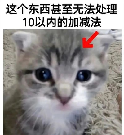 图片上方有黑色文字“这个东西甚至无法处理10以内的加减法”，下方是一只灰白色虎斑小猫的特写。小猫有着大大的蓝色眼睛，眼神呆萌，头顶有一个红色箭头指向它的头部，整体通过将小猫与“无法处理简单数学”的文字结合，营造出幽默调侃的效果，暗示小猫“智商不高”。
