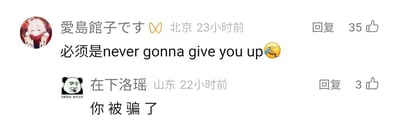 这是一张国内社交媒体的评论区截图，来自北京的用户“愛島館子です”发布评论称“必须是never gonna give you up”并附带捂脸笑表情，该评论收获35个赞；来自山东的用户“在下洛瑶”使用带有熊猫头表情包的账号回复该评论，内容为“你被骗了”，该回复收获3个赞。其中“never gonna give you up”是知名的Rickroll网络梗，指的是用歌手Rick Astley的歌曲《Never Gonna Give You Up》的MV链接作为诱饵，诱导他人点击的恶作剧，因此回复“你被骗了”是在玩这个经典网络梗，暗示提到这首歌就相当于陷入了该恶作剧陷阱。