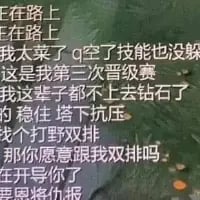 这是一张以MOBA类游戏地图为背景的P图，图中用白色文字密集地写下了玩家的崩溃发言：
- 在路上
- 在路上
- 我太菜了q空了技能也没躲
- 这是我第三次晋级赛
- 我这辈子都上不去钻石了
- 稳住 塔下抗压
- 找个打野双排
- 那你愿意跟我双排吗
- 在开导你了
这些文字生动展现了玩家多次冲击钻石段位晋级赛失败后，心态崩溃又急切渴望找到靠谱打野队友双排的状态，精准戳中了不少MOBA游戏玩家排位赛的痛点，充满共鸣感。