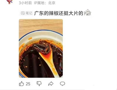 这是一张社交媒体笔记截图，IP属地为北京的用户3小时前发布了这条内容，配文为“广东的辣椒还挺大片的”，配图展示了一碗盛有红辣椒油的瓷碗，白色汤勺舀起一块大片深褐色凝胶状物体，这块被用户当成大片辣椒的物体实际是广东特色食物龟苓膏，是网友看错食物形成的搞笑乌龙，帖子底部显示点赞数为25，还有点踩、转发、评论的互动按钮。