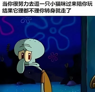 图片上方配有文字“当你很努力去逗一只小猫咪过来陪你玩 结果它理都不理你转身就走了”，下方是动画《海绵宝宝》中的角色章鱼哥，他呈现出悲伤、沮丧的表情，身体微微前倾，眼神低垂，背景是蓝色的海底场景，带有紫色和白色的抽象花纹。整体通过文字与章鱼哥的表情结合，幽默地表达了努力互动却被无视后的失落情绪。