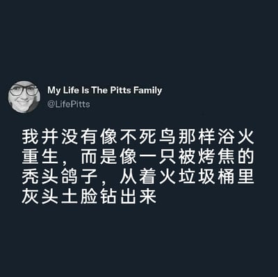 这是一张X平台（原推特）的社交媒体截图，整体采用深色背景，左上角展示了博主的头像与账号信息：账号名为My Life Is The Pitts Family，账号ID为@LifePitts，头像中的人物戴着眼镜，面带微笑。截图的核心内容是一段充满自嘲意味的中文文案，将大众认知中象征着华丽蜕变、浴火重生的不死鸟作为对比，把自己的生活状态比喻成从着火垃圾桶里灰头土脸钻出来的烤焦秃头鸽子，用滑稽又狼狈的画面感，精准传递出经历困境后并未获得成长与蜕变，反而只剩疲惫不堪、落魄窘迫的真实情绪，充满黑色幽默的调侃感，容易引发处于高压疲惫状态的群体共鸣。