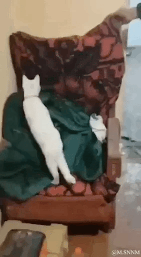 这是一个充满趣味的动态GIF，画面中一只白色猫咪放松地躺在带有花纹的木质扶手椅的绿色毯子上，椅子靠背上的花纹与上方的手臂形成了巧妙的视觉错觉，乍一看仿佛猫咪被椅子的“手臂”提在半空中，利用视角差营造出荒诞又搞笑的效果，让人忍俊不禁。