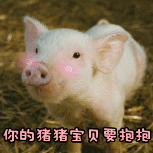 可爱小猪求抱抱动态表情包