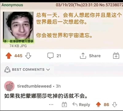 这是一张整合了匿名论坛帖子与社区评论的社交媒体截图。顶部是4chan匿名论坛用户发布的内容，配有一张面带微笑的真人男性头像，文字传递出关于被世界和宇宙彻底遗忘的伤感存在主义思考：“总有一天，会有人想起你并且是这个世界最后一次想起你。你会被世界和宇宙遗忘。”该帖子获得了445个点赞与21条评论。在最佳评论区，用户tiredtumbleweed发布了一条充满黑色幽默的荒诞回复：“如果我把蒙娜丽莎吃掉的话就不会。”，这条回复以将自身与永被铭记的著名艺术品《蒙娜丽莎》绑定的逻辑，对抗原帖的伤感命题，获得了86个点赞，形成了沉重命题与荒诞解法的强烈反差，充满网络社区的创意幽默感。图片左下角标注了翻译来源为微博@野猪川苦茶。