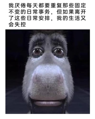 这是一张图文混排的情绪表达梗图，上方配有一段精准戳中当代人心态的文字：“我厌倦每天都要重复那些固定不变的日常事务，但如果离开了这些日常安排，我的生活又会失控”，下方是动画电影《怪物史莱克》中驴子的面部特写截图，驴子双眼睁大，眼周带有深色阴影，眼神里满是疲惫、迷茫与无奈，将人们在重复日常中感到厌倦，却又依赖现有生活秩序、害怕打破后生活陷入失控的矛盾纠结心态生动地展现出来，极易引发大众对自身生活状态的共鸣。