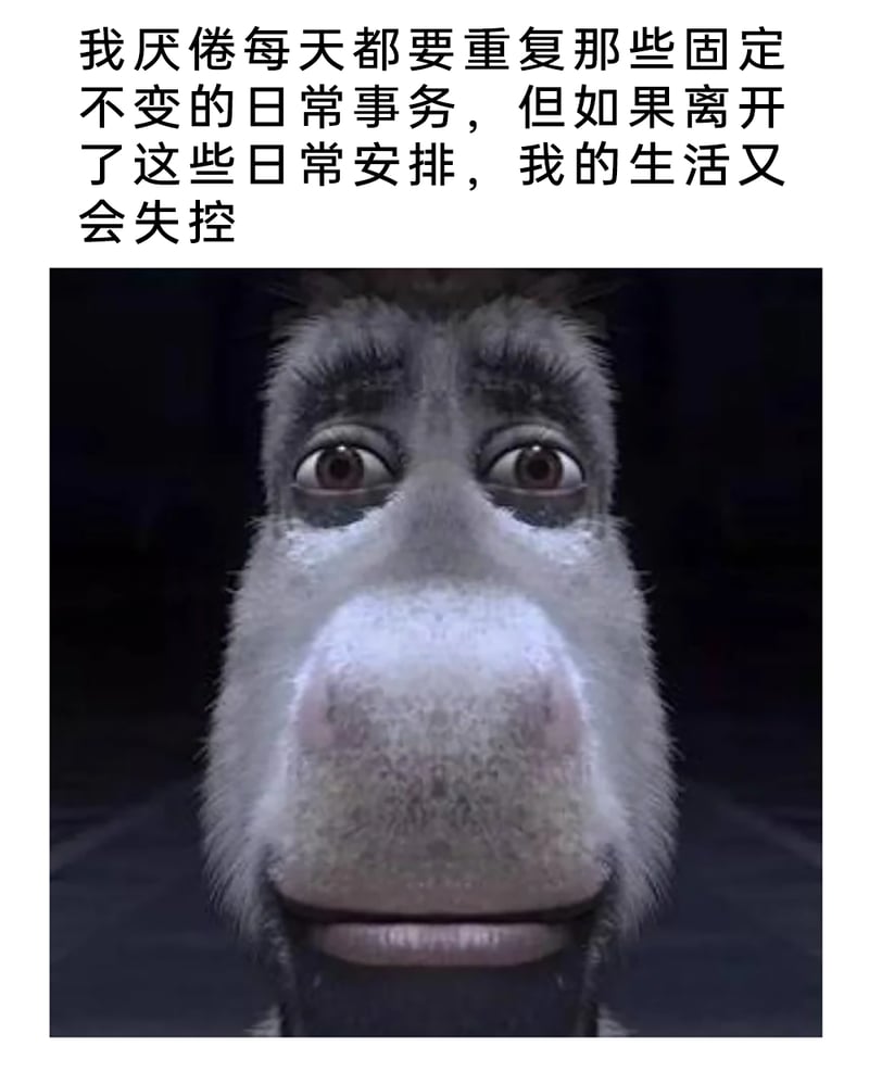驴子