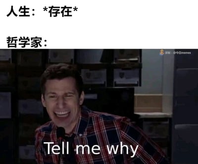 这是一张充满戏谑感的搞笑梗图，采用图文混排的形式。上方用文字构建场景：先标注“人生：*存在*”，引出人生本身的存在状态，接着是“哲学家：”，下方搭配美剧《神烦警探》中杰克·佩拉尔塔的夸张截图，他表情扭曲、大张嘴巴，身体前倾，配文“Tell me why”，用这种情绪化、接地气的表达，调侃哲学家始终在追问“人生为何存在”这一终极哲学问题，将严肃的哲学思考用搞笑的网络梗形式呈现，反差感拉满，让人忍俊不禁。