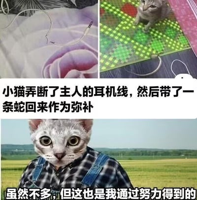 暂无描述