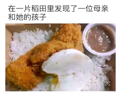 图片上方有文字"在一片稻田里发现了一位母亲和她的孩子"，下方是一份快餐食物。这是一个视觉双关笑话，利用食物形象进行比喻：
- "稻田"对应图片中的白米饭
- "母亲和孩子"对应图片中的煎蛋（蛋白是母亲，蛋黄是孩子）