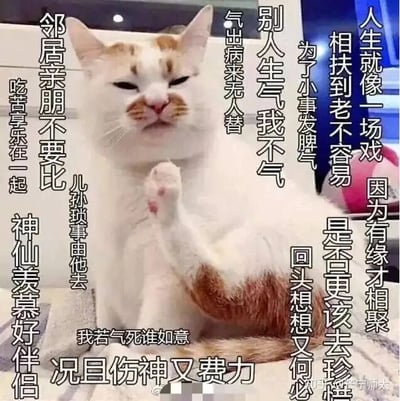 这是一张图文混排的静态表情素材图，主体是一只白棕相间的猫咪，它眉头微皱、半眯双眼，表情带着嫌弃与不耐烦，同时抬起一只前爪，做出类似摆手拒绝的动作，神态颇具厌世感。图片周围环绕着多组劝人放平心态、不要动怒的文字，内容为：“人生就像一场戏 因为有缘才相聚；相扶到老不容易 是否更该去珍惜；为了小事发脾气 回头想想又何必；别人生气我不气 气出病来无人替；我若气死谁如意 况且伤神又费力；邻居亲朋不要比 儿孙琐事由他去；吃苦享乐在一起 神仙羡慕好伴侣”。文字传递出豁达、佛系的生活态度，用猫咪的厌世表情搭配劝世文字，形成反差感，让劝诫内容更生动有趣，适合在聊天场景中用来安抚情绪、劝解他人不要动怒。