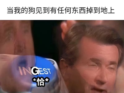 图片上方配有文字“当我的狗见到有任何东西掉到地上”，下方是一张真人面部特写截图，人物表情显得急切而渴望。画面中叠加了“INGEST”英文单词和中文“恰”字（“恰”在网络语境中常带有“吃”的幽默含义），整体通过夸张的人物表情和文字结合，幽默地表现出狗看到东西掉落后急于“吃掉”的反应。