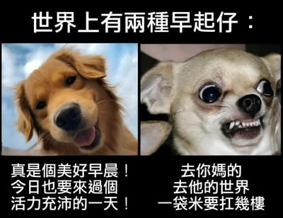 这是一张左右对比的梗图，上方文字为"世界上有两种早起仔："。左侧是一只金毛犬在蓝天白云下吐着舌头微笑，下方配文"真是个美好早晨！今日也要来过个活力充沛的一天！"；右侧是一只吉娃娃露出牙齿、表情愤怒，下方配文"去你妈的 去他的世界 一袋米要扛几楼"。通过两只狗截然不同的表情和配文，幽默地展现了两种完全相反的早起状态和心态。其中"一袋米要扛几楼"是《火影忍者》中佩恩台词的著名空耳梗。