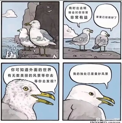 这是一幅四格汉化卡通漫画，以两只海鸥分别代表“宅宅”和“一般人”，展现了两种截然不同的生活态度。第一格交代角色，两只海鸥站在海边岩石上；第二格中代表“一般人”的海鸥劝说“宅宅”出门走走，“宅宅”则表示家里的环境就很好；第三格“一般人”继续安利外面世界的美丽风景；第四格“宅宅”温和回应，认为自己的独处时光本身就是曼妙的风景。漫画没有评判两种态度的对错，只是用拟人化的方式精准表达了喜欢独处的宅人群体的内心想法，两种生活选择形成了温和的对比。