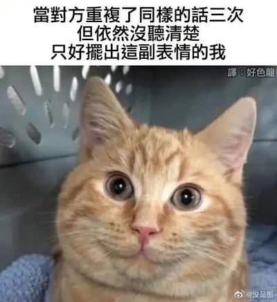 这是一张文字加注的静态猫咪表情包，主体是一只待在类似宠物箱容器里的橘猫，它眼睛圆睁，面部肌肉僵硬，呈现出一种茫然又尴尬的神态。图片上方配有繁体中文吐槽文字：“當對方重複了同樣的話三次 但依然沒聽清楚 只好擺出這副表情的我”，右上角标注有翻译文字“譯:好色龍”，右下角带有微博账号“@没品图”的水印。该表情包用猫咪的生动表情，精准地刻画了人们在日常社交场景中，多次没听清对方的话语，却又不好意思再次询问，只能强装听懂、露出尴尬茫然表情的“社死”瞬间，很容易引发大众的情感共鸣。