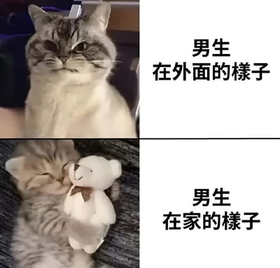 这是一张上下两排的对比梗图。上排左侧是一只灰白相间的猫咪，表情严肃、眼神冷漠地端坐凝视前方，右侧配有文字'男生在外面的样子'；下排左侧是同一只猫咪，蜷缩着身体抱着一个系着棕色蝴蝶结的白色泰迪熊，双眼紧闭，表情放松惬意，右侧文字为'男生在家的样子'。通过猫咪在外的高冷形象与在家的可爱依赖状态形成鲜明反差，幽默调侃了男生在公共场合与私人空间的不同表现。