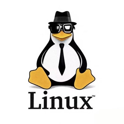 图中是Linux操作系统的经典企鹅吉祥物Tux，它戴着黑色礼帽和墨镜，系着领带，表情酷劲十足地坐在白色背景上，下方配有'Linux'文字标识。这一形象已成为开源操作系统的标志性符号。