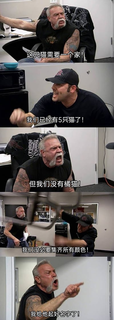 这是一组基于经典影视梗图改编的五格连环搞笑图，画面设定在办公室场景中，两个外表粗犷、充满硬核气质的壮汉围绕是否收养一只橘猫展开激烈争执。白发纹身壮汉先是激动地提出要给橘猫一个家，在被对方以“已经养了5只猫”反驳后，又以“还没有橘猫”“已经给它起好名字”为由坚持自己的想法；戴黑帽的壮汉则情绪激动地反对，甚至扔出椅子，强调没必要集齐不同花色的猫。粗犷的外形与软萌的养猫主题形成强烈反差，夸张的争吵姿态和无厘头的对话内容制造出十足的搞笑效果，精准戳中养猫爱好者的趣味点。
