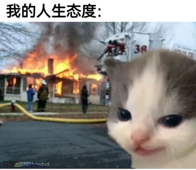 这是一张充满反差感的合成网络梗图，顶部配有文字“我的人生态度：”，画面背景是一栋正在熊熊燃烧的房屋，消防员正铺设水管开展救火作业，还有几位路人在旁围观，现场氛围紧张混乱；而画面前景的猫咪却神态淡定、一脸无所谓，仿佛完全无视身后的紧急火情。通过这种强烈的场景与神态的反差，生动地表达了一种“外界的混乱与我无关，我只保持自己的淡定”的摆烂、事不关己的人生态度，常用于调侃自己对生活中烦心事持漠不关心的心态。