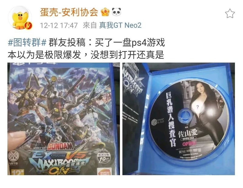 《巨乳潜入搜查官》