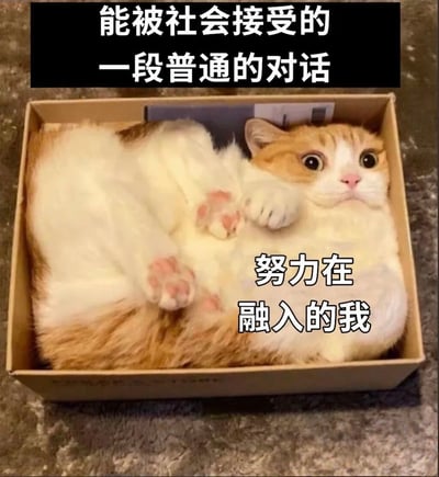 图片展示了一只橘白相间的猫咪正努力蜷缩身体，试图把自己塞进一个略小的纸箱里。猫咪表情惊讶，眼神睁大，前爪微微抬起，身体呈现出明显被挤压的状态。图片上方有黑色背景白色文字标题："能被社会接受的一段普通的对话"，猫咪身体右侧有文字："努力在融入的我"。这张梗图通过猫咪努力适应小盒子的可爱模样，幽默地比喻了人们在社会中努力迎合他人、适应环境的状态，引发共鸣。